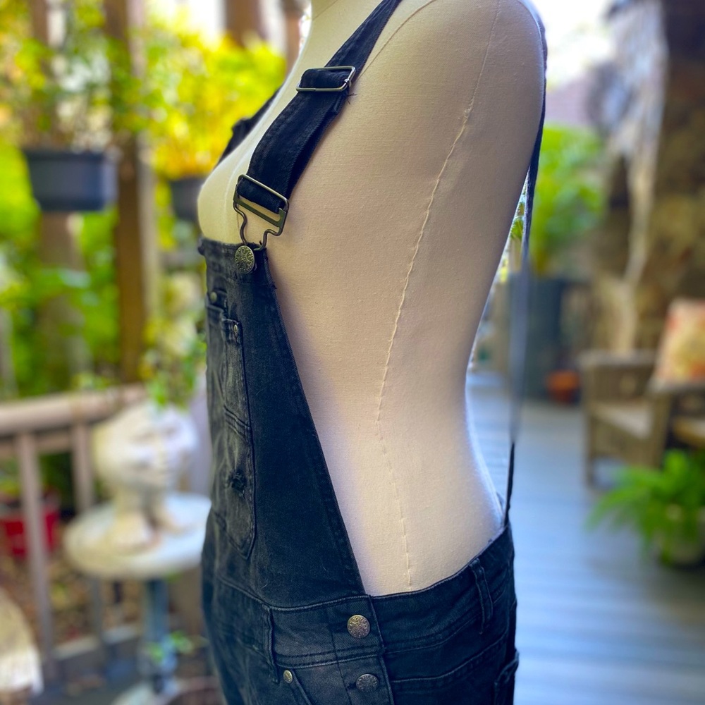 Blue Spice Overalls